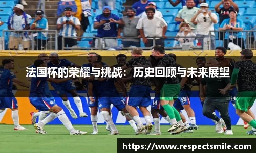 法国杯的荣耀与挑战：历史回顾与未来展望